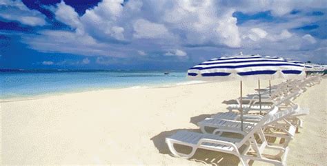 beach vacation gifs|More.